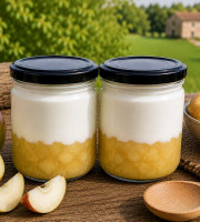 Gaec de l'Elanion - Lot de 2 Fromage Blanc Pomme