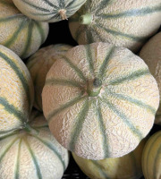 ChâteauFer - Melon