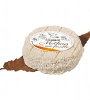 Laiterie de Pamplie - Mothais sur feuille AOC