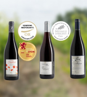 Domaine de la Chopinière du Roy - Coffret cadeau "A la découverte des vins rouges de Loire "- 3 x 75 cl