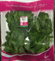 Les Herbes du Roussillon - Basilic Frais - 500g