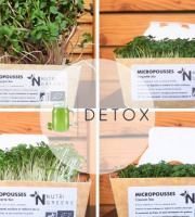 Ma Micropousse culinaire - Micro pousses Pack Detox (radis, Mizuna, Cresson, Roquette) 4 barquettes