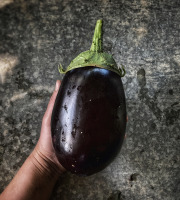 La Ferme d'Artaud - Aubergines - 2kg