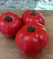 Aux Jardins des Colibris - 1 kg Tomates rondes Bio