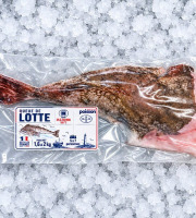 Mon Petit Poisson - Queue de lotte de Roscoff – 1,6 à 2 kg