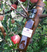 Le Châtaignier - Vinaigre de cidre