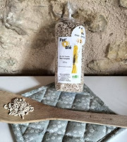 Pat'O Blé - Pâtes Bio Grain de blé 350g