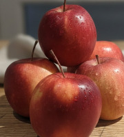 La Ferme Durbois - Pommes Fuji Betty Fidalgo 1kg