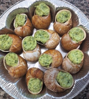 Kerhelix - Coquilles escargots ail persil x12