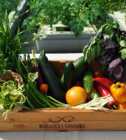 Nature et Saveurs - Ferme Aquaponique et Permacole Astérienne - Grand Panier de légumes astériens