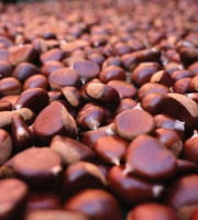 Ferme de Sauveplane - [Précommande] Châtaignes fraiches Bio AOC 4kg