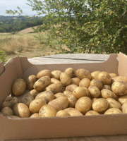 Ferme Sinsac - pomme de terre grenailles sachet de 500 grs