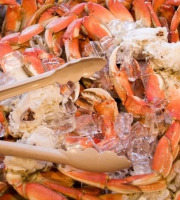Saint Kerber - Pinces Tourteaux 6 kgs