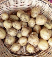 La Ferme de Milly - Anjou - COLIS-pommes de terre nouvelles BIO-5kg