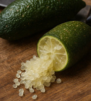 Nature et Saveurs - Ferme Aquaponique et Permacole Astérienne - Citron caviar : perles acidulées d’exception
