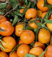 L'OLIVERAIE DU COUDON - CLEMENTINES CATEGORIE 2 - - 6KG - -  #### PROMO ####