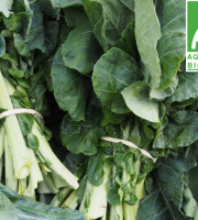 Mon Petit Producteur - Grand Chou Vert [la Botte De 500g]