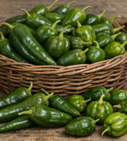 Nature et Saveurs - Ferme Aquaponique et Permacole Astérienne - Piment vert doux - 100g