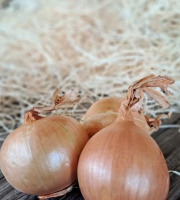 Les Jardins de Gérard - Oignon jaune Bio - 1 kg