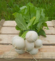 ChâteauFer - Navet nouveau - Sachet 500g