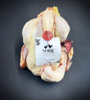 Volaille noire d'Astarac-Bigorre - [Précommande] Chapon "Noire d'Astarac-Bigorre" 2,5kg