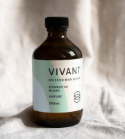 Vivant Kombucha - Kombucha Thé blanc Bio x12