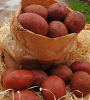 Les Champs Paradis - Pommes de terre "Alouette"