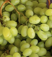 L’Oliveraie du Coudon - Raisin Arra Blanc Sans Pépins 3kg