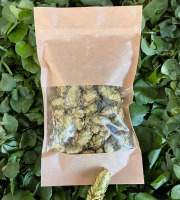 Cressonnière de Montmirault - Houblon pour tisane