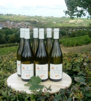 Domaine Doudeau-Leger - Vent d'Ange - Vin de Pays du Val de Loire Blanc IGP 2023 - 6 Bouteilles