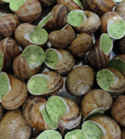 Limero l'Escargot Mayennais - Coquilles D'escargots Gros Gris FRAIS AU BEURRE PERSILLE
