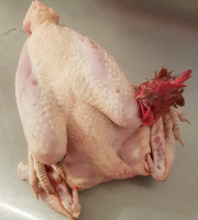 Les Volailles de la Garenne - Poulet-Entier 2.4