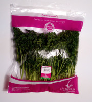 Les Herbes du Roussillon - Persil Frisé Frais - 500g