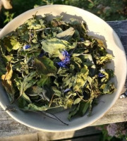 La Cabane à plantes - Infusion L’Aurore