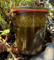 L’Oliveraie du Coudon - Pesto au basilic 100gr