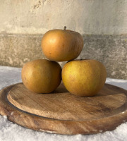 La Ferme des Prun'Elles - pomme reinette grise du Canada - 1kg