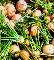 Nature et Saveurs - Ferme Aquaponique et Permacole Astérienne - Carotte Marché de Paris Sans fanes – Douceur hivernale