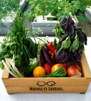 Nature et Saveurs - Ferme Aquaponique et Permacole Astérienne - Petit Panier de légumes astériens