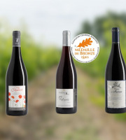 Domaine de la Chopinière du Roy - Coffret cadeau "A la découverte des vins rouges de Loire "- 3 x 75 cl