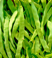 Nature et Saveurs - Ferme Aquaponique et Permacole Astérienne - Haricots plats mangetout verts – texture charnue et fraîcheur