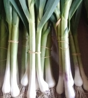 Aux Jardins des Colibris - Panier Bio "Arômes"