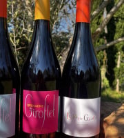 Domaine Giroflet - Trio fruité rouge de Giroflet