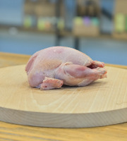 L'Atelier du Loup - Perdreau prêt à cuire x1