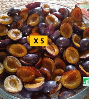 LES JARDINS DE KARINE - Quetsche violette en quartier surgelée - 5kg