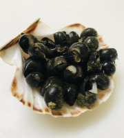 Mer Sea - Bigorneaux vivants 500grs