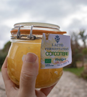 ChâteauFer - Lacto de concombre vinaigre malossol 500g