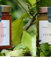 Jardins de la Testa - Pack 12 pots de confitures d'agrumes