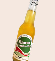 Mama Kombucha - Lot de Kombucha Baïgura 12 X 33cl - Kombucha Menthe, Piment D'espelette -