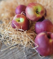 Les Jardins de Gérard - Nectarine blanche Bio - 1 kg