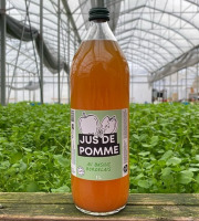 Les Nouvelles Fermes - Jus de pomme au basilic (1L) x 6